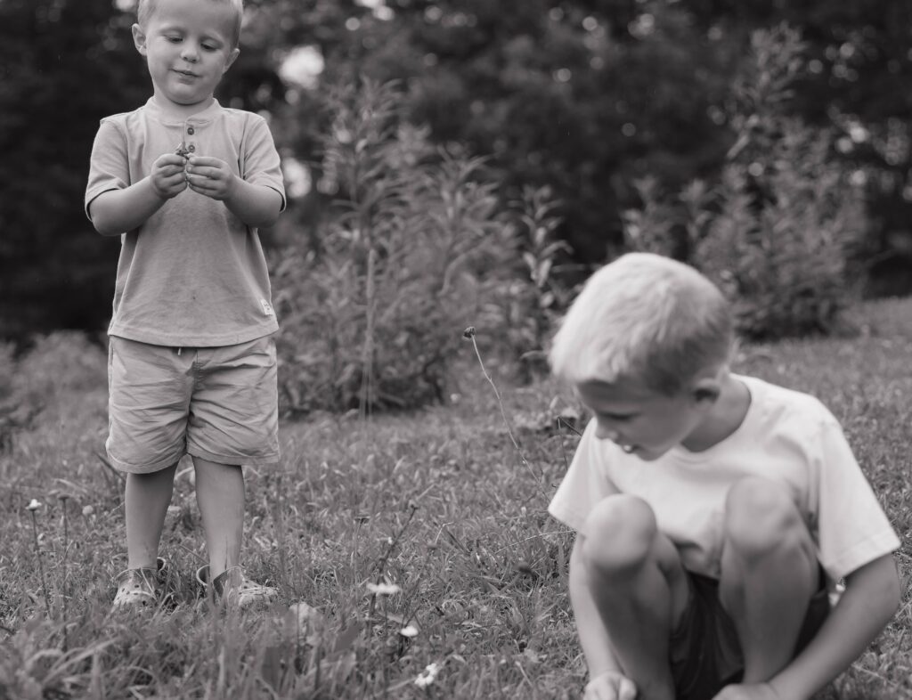 Two older brothers play in the field of their family's property in Boone North Carolina, picking flowers and playing with sticks during a lifestyle family maternity session.